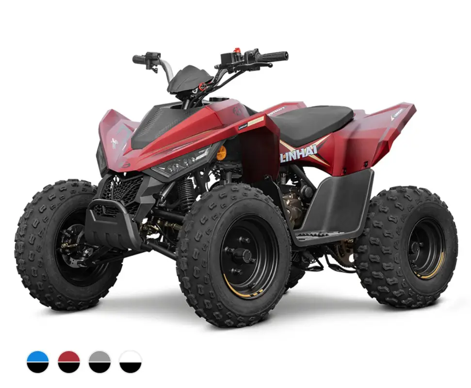 Autentický Linhai ATV 110 4x2 EFI CE