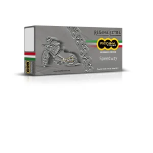 Oblíbený REGINA hnací řetěz 520EBS-ORO (96 článků) SPEEDWAY do 500 ccm zlatá spona (135EBSORO/00E) (bez O-kroužků)