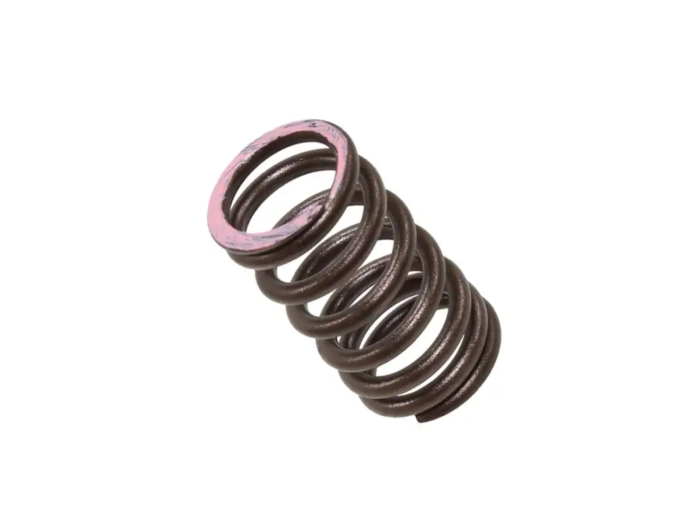 Koupit Online PSYCHIC pružina výfukového ventilu HONDA CRF 250R 18-20, CRF 250X 18-20