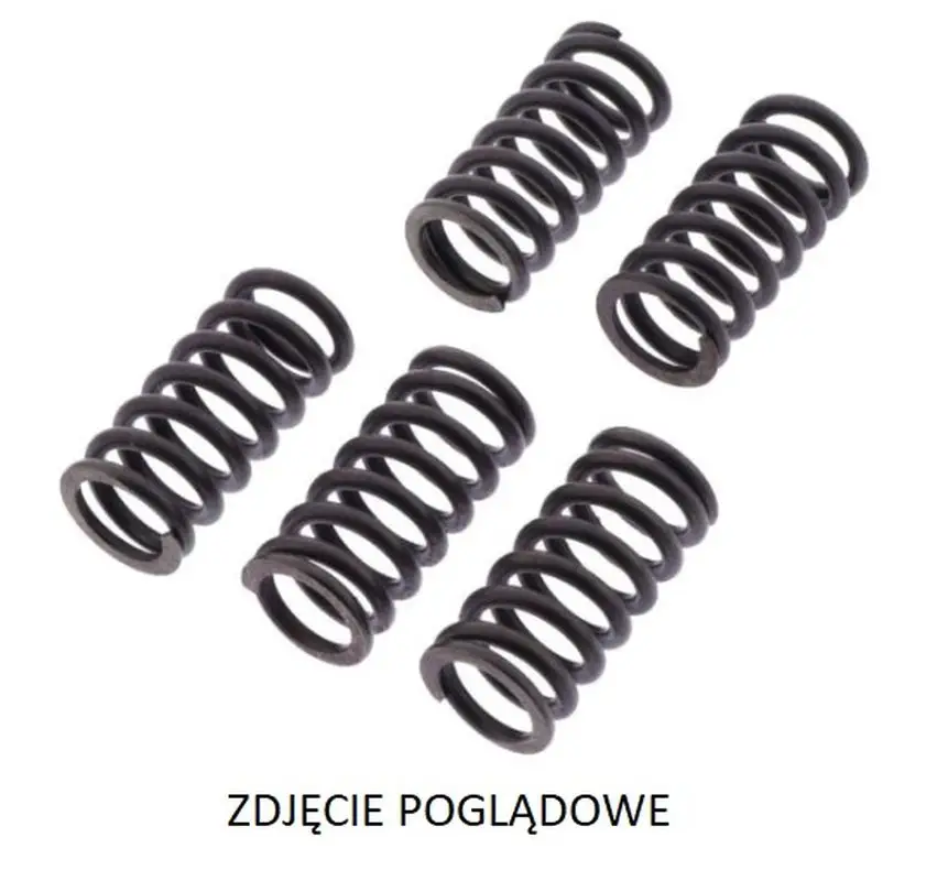 TRW ZF spojkové pružiny KAWASAKI ZX-12R NINJA 02-06 Nejlepší Cena