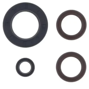 CENTAURO sada těsnění motoru KTM GS 250 80-81 , MX 250 80-81 Hit Sezóny